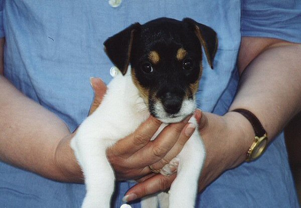 Jon-Bobby von der Buddelwiese
