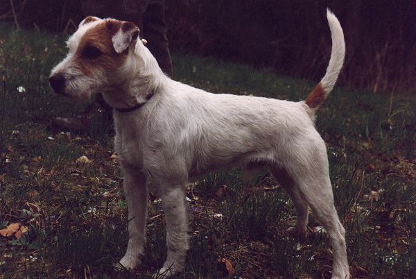 Bastian vom Seewald