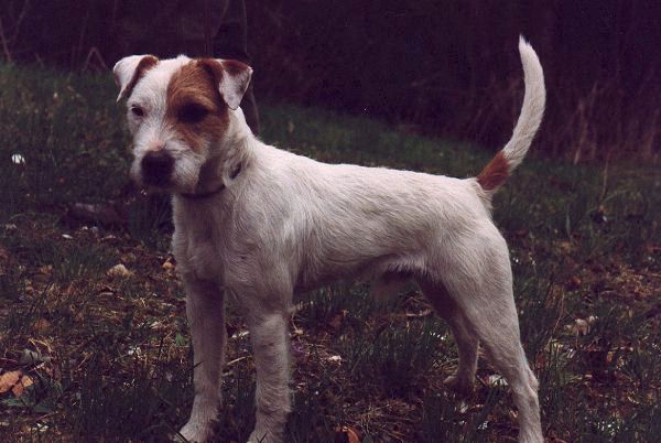 Bastian vom Seewald