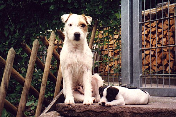 Bastian und Carlo