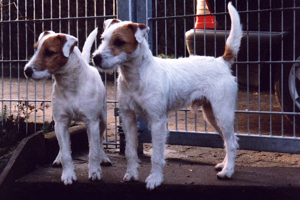 Balko und Bastian