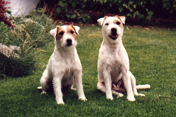 Balko und Bastian