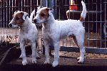 Balko und Bastian