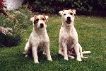 Balko und Bastian